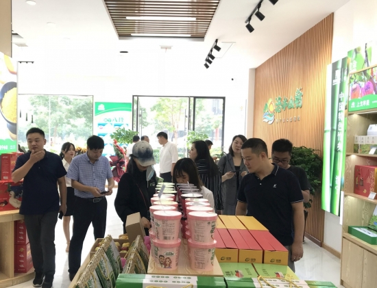 洛水山肴洛宁店电话,洛宁洛水山肴地址