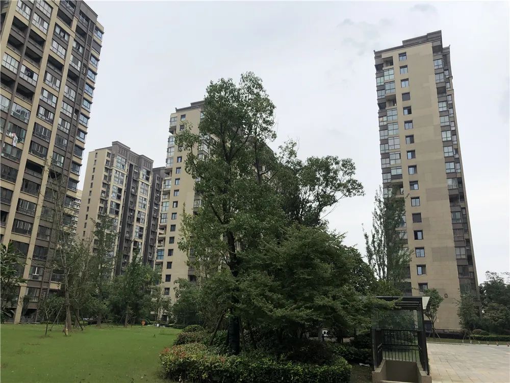 南京房价最高的是哪个小区在售,南京十年内房价涨了三倍的楼盘