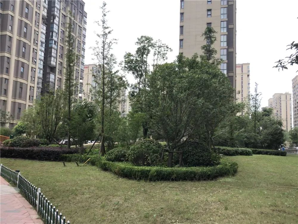 南京房价最高的是哪个小区在售,南京十年内房价涨了三倍的楼盘