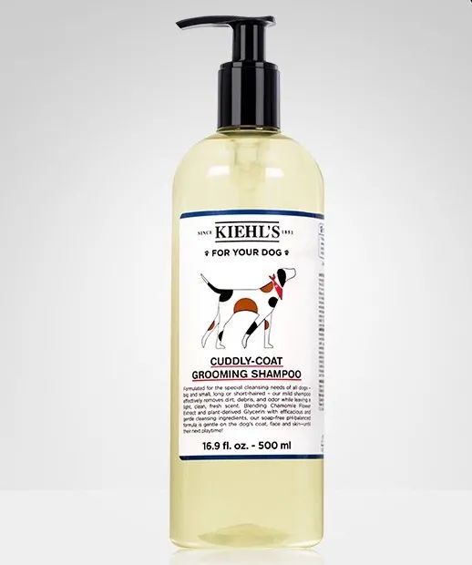 科颜氏怎么这么火,科颜氏到底如何