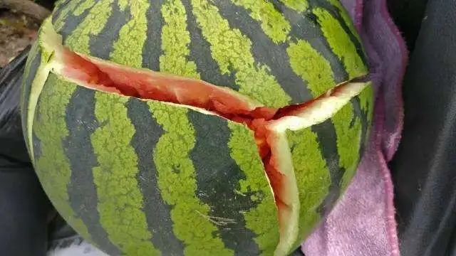 齐嫣婷医生讲科普|“动过刀”的子宫,能不能顺产?