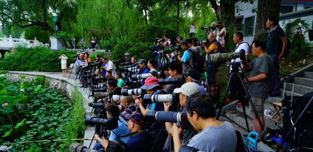 为了阻止一些中国大爷拍鸟，我们要给他们安利这个