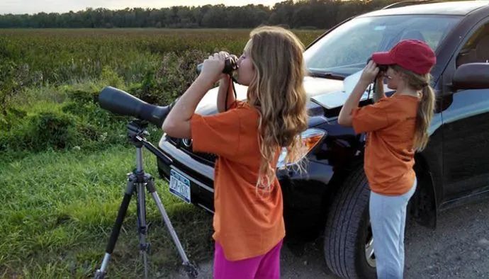 为了阻止一些中国大爷拍鸟，我们要给他们安利这个