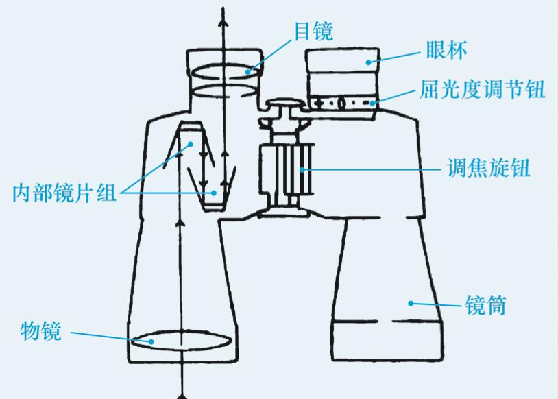 为了阻止一些中国大爷拍鸟，我们要给他们安利这个