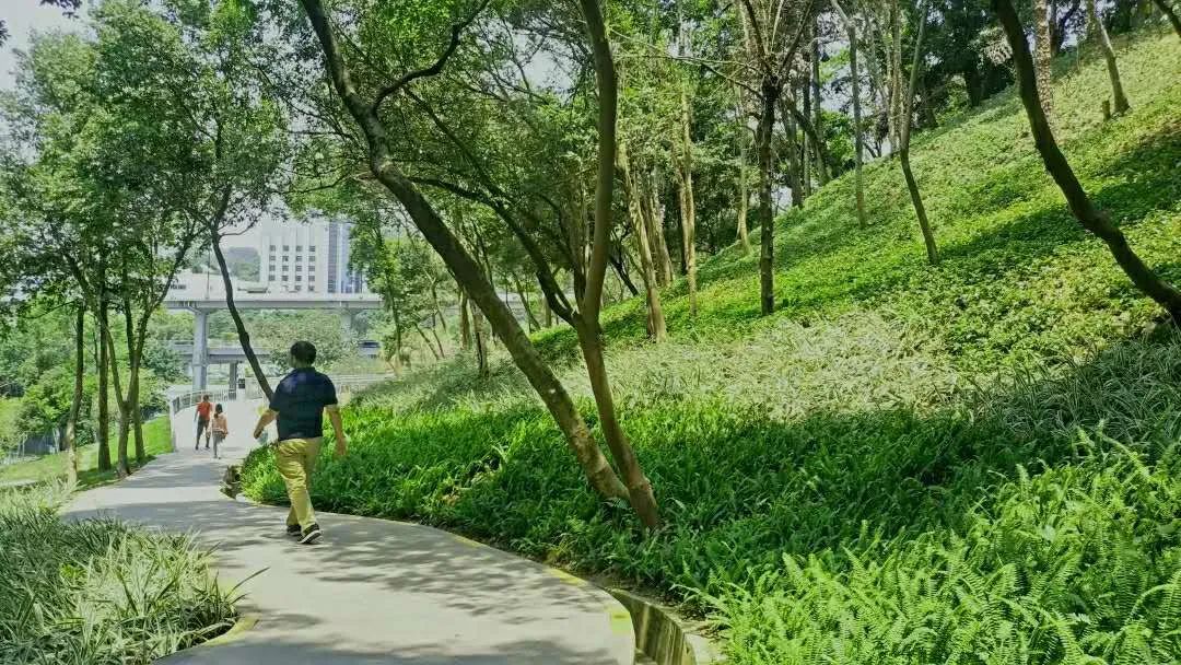 越秀公园全面开放啦!游园攻略+防疫贴士戳→