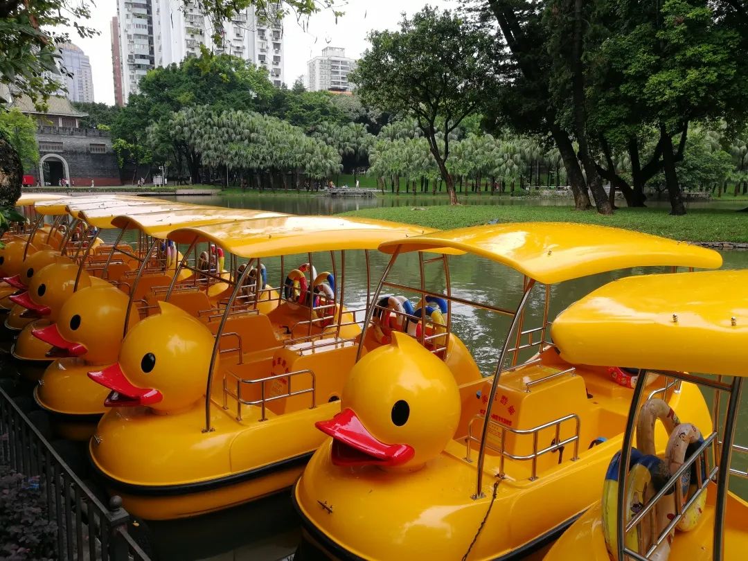 越秀公园全面开放啦!游园攻略+防疫贴士戳→