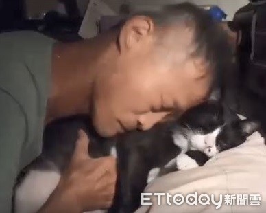 阿公埋进整张脸“深情狂撸”　猫孙被吸到生无可恋：够了没