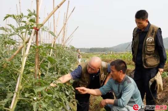 640多名队员扎根乡村服务群众——兴宾区:打造扶贫“五星级工作队”