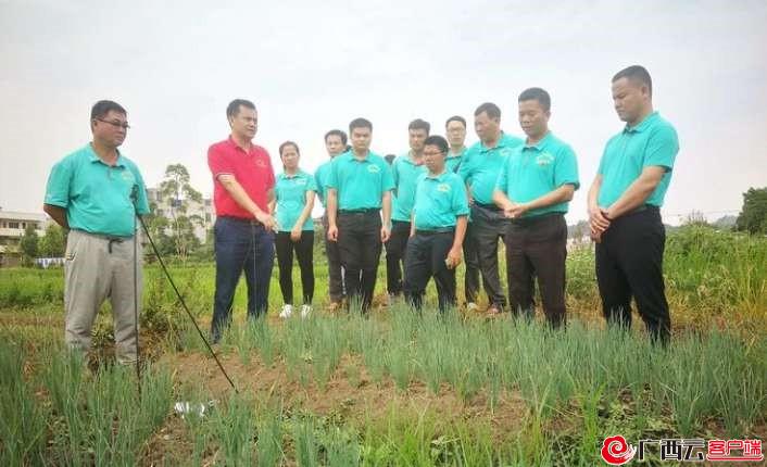 640多名队员扎根乡村服务群众——兴宾区:打造扶贫“五星级工作队”