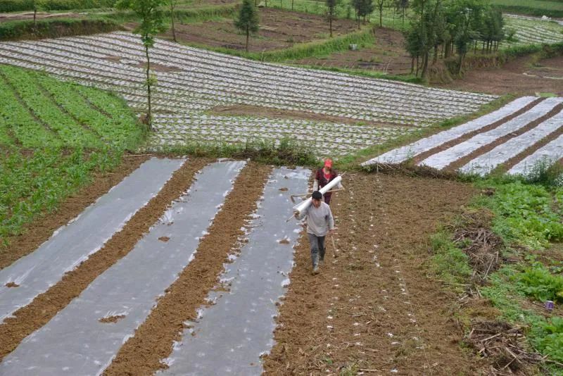 扶贫故事纪录片,扶贫故事两千字