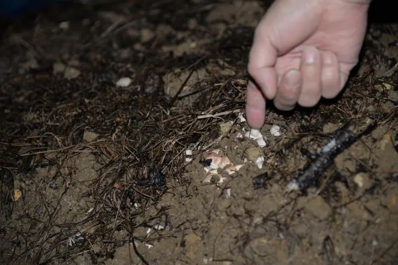 扶贫故事纪录片,扶贫故事两千字