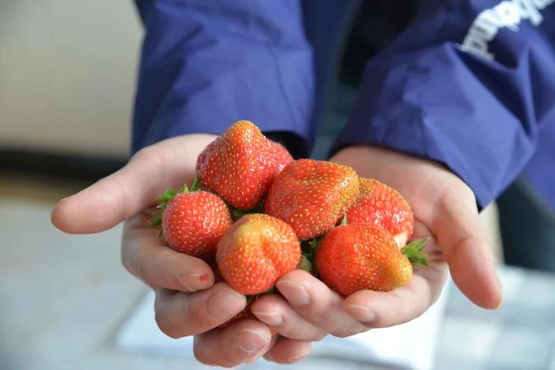 扶贫故事纪录片,扶贫故事两千字