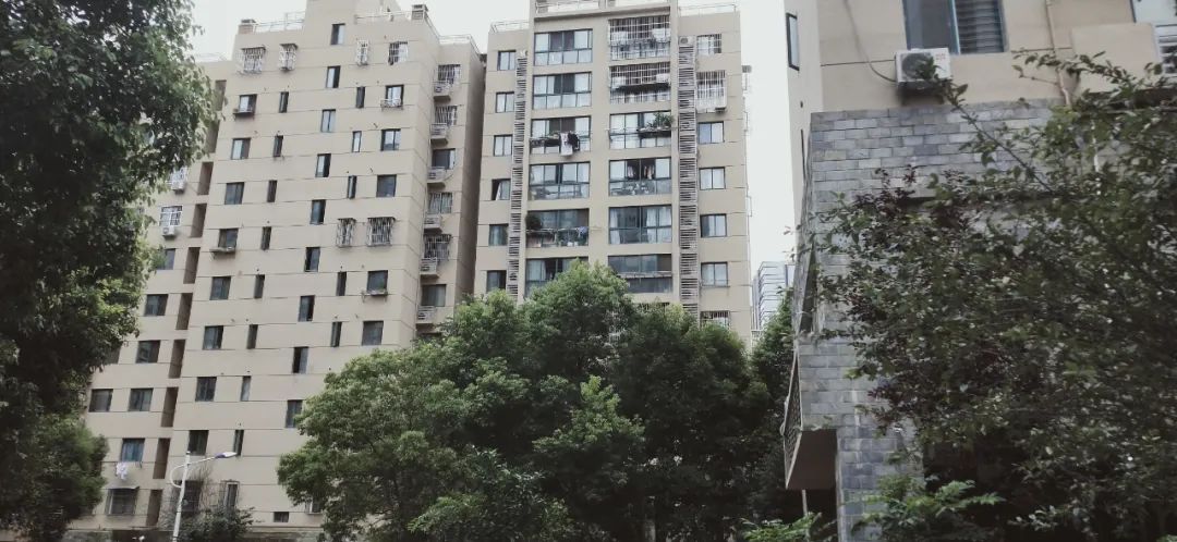 涨幅低、环境一般,南京这个地铁口小区成交却“意外”火热