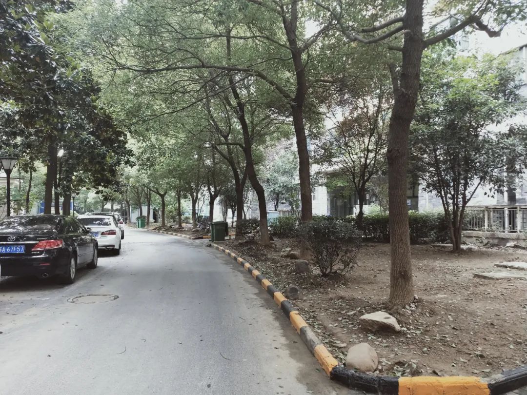 涨幅低、环境一般，南京这个地铁口小区成交却“意外”火热