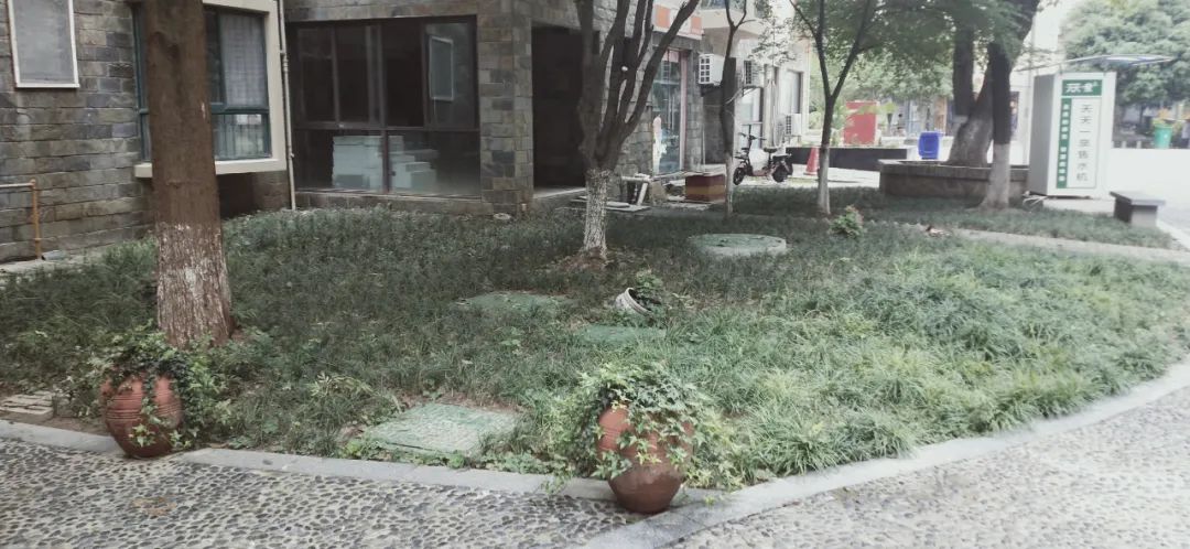 涨幅低、环境一般,南京这个地铁口小区成交却“意外”火热