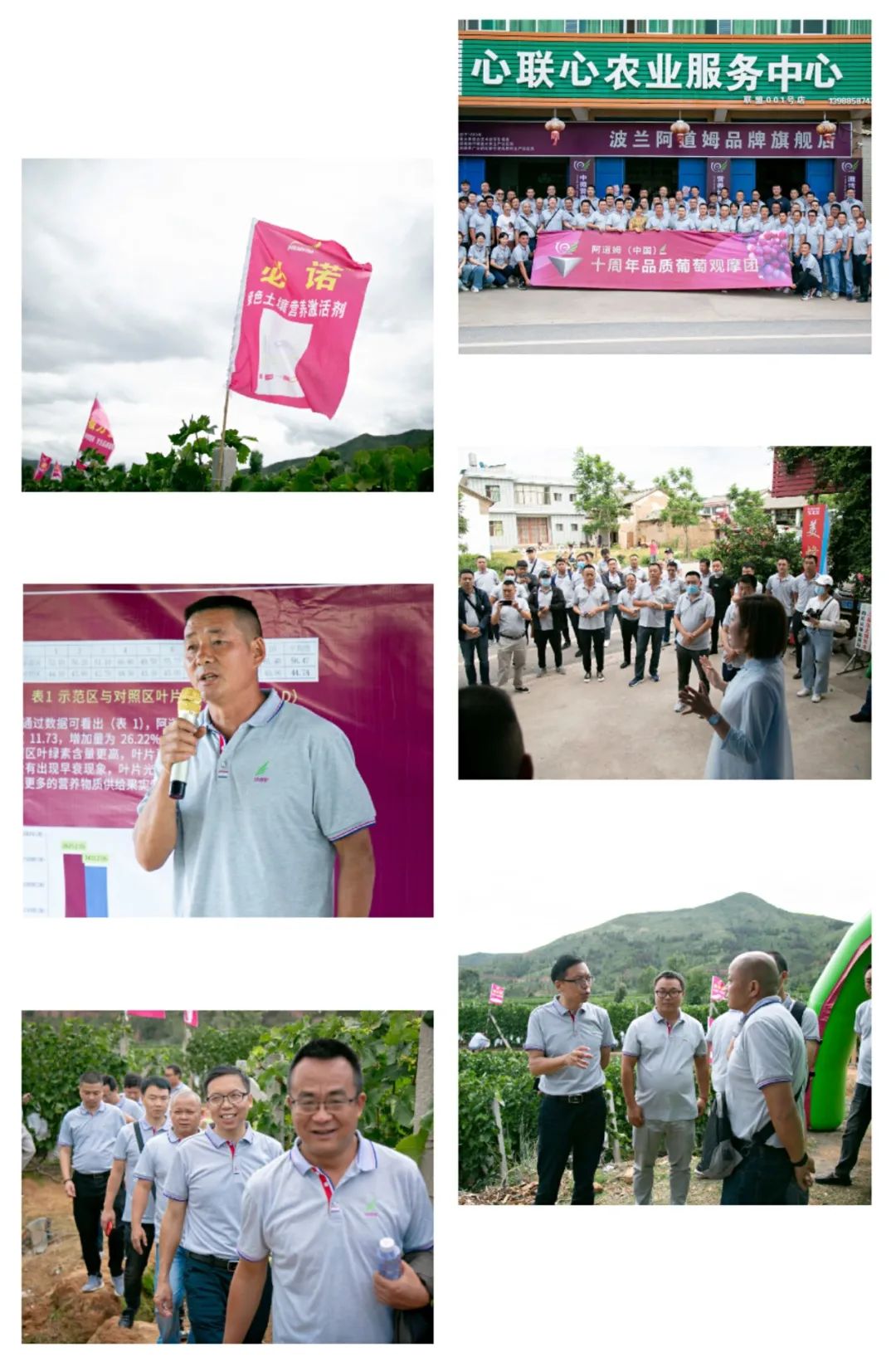 成长十周年庆典,成长十周年