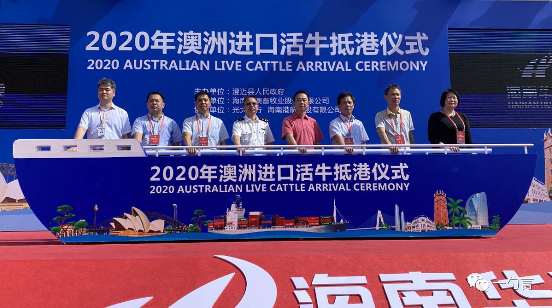 房地产大佬讲海南楼市大变动,一勺言地产营销策略