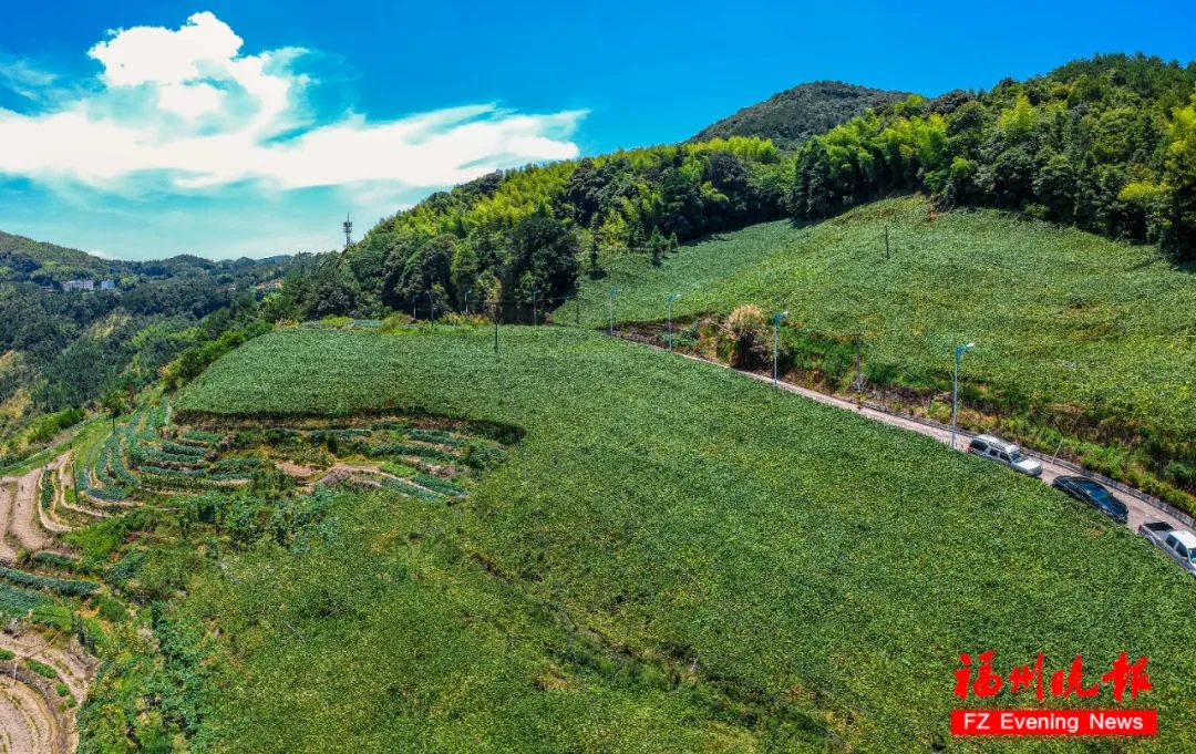 孟浩然过故人庄图片,孟浩然的过故人庄地点