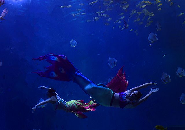 广西极地海洋馆免费吗,广西极地超大海洋馆电话