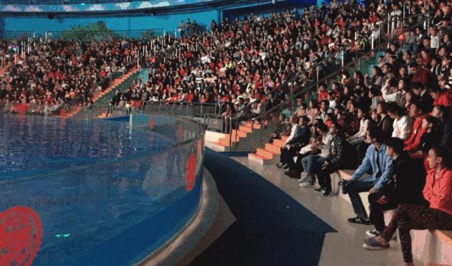 广西极地海洋馆免费吗,广西极地超大海洋馆电话