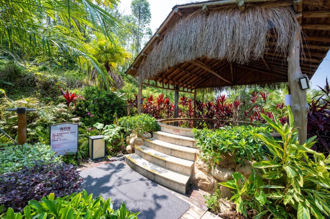 泰国泼水节旅行,旅行泰国泼水节