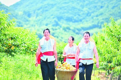 宁波市高质量发展表彰大会,宁波高品质城市