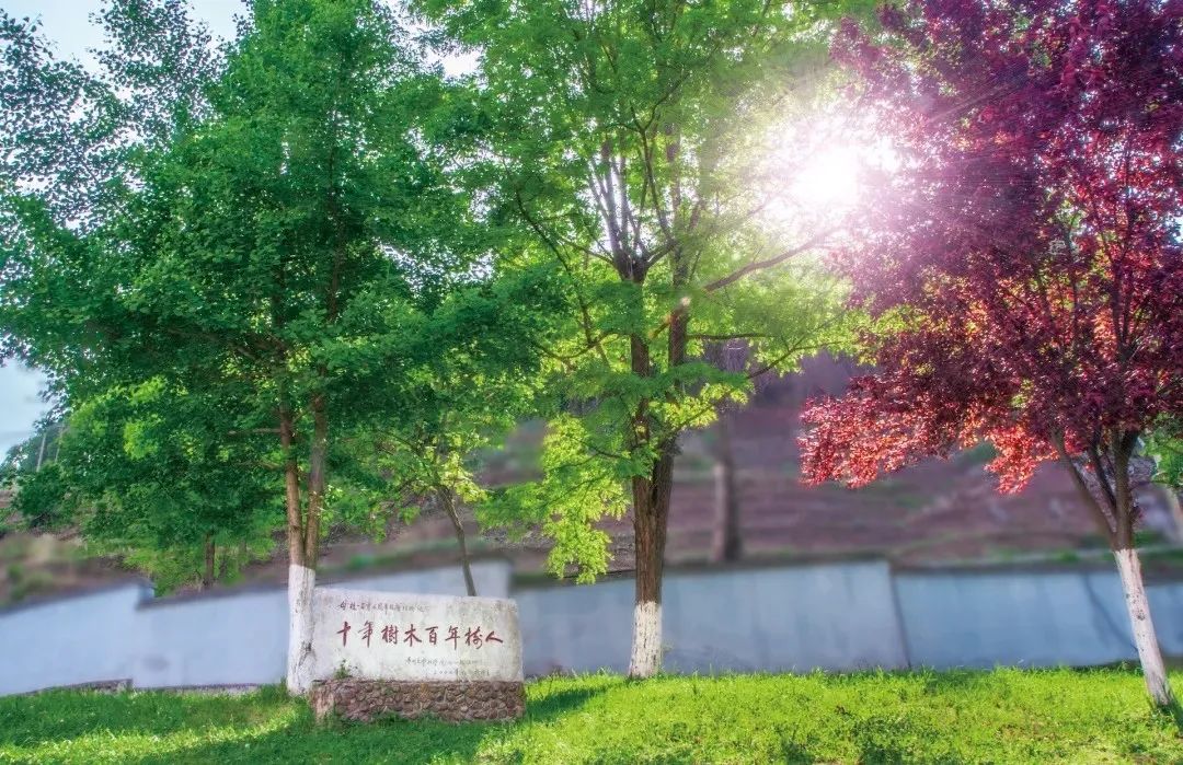 贵州十大高校排行榜,贵州高校介绍