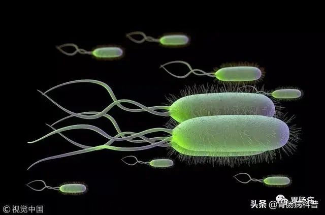 根除幽门螺杆菌常用的有效方案为,幽门螺杆菌用药期间可以喝牛奶吗