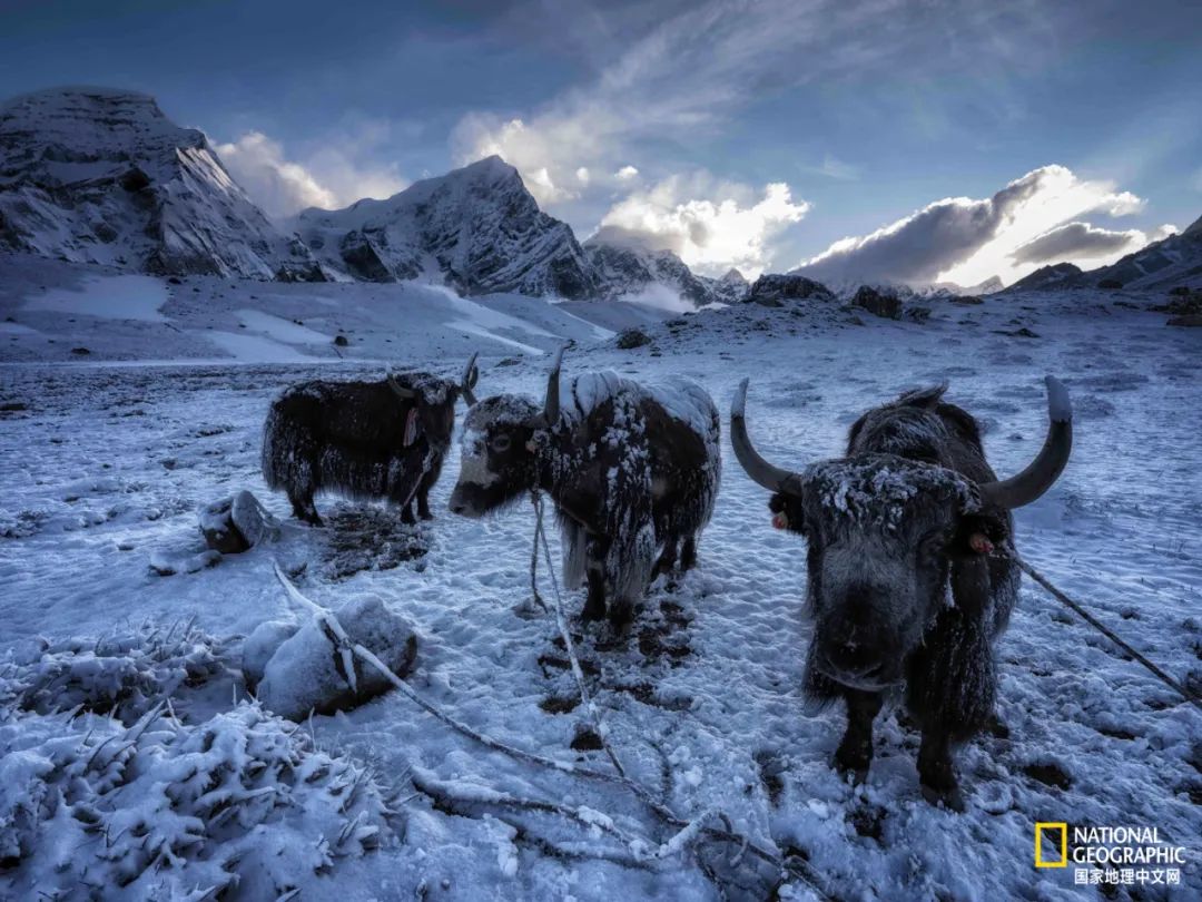 攀登完希夏邦马可以去珠峰吗,希夏邦马峰和珠峰在一条线路吗