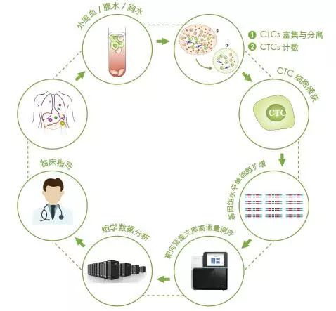乳腺癌ctc检测,乳腺癌检查CTC是什么