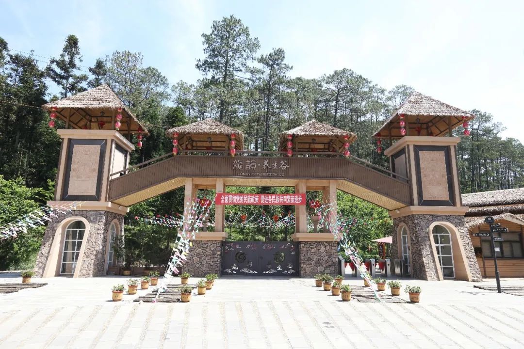 石屏龙韵养生谷干巴菌,云南石屏龙朋干巴菌节