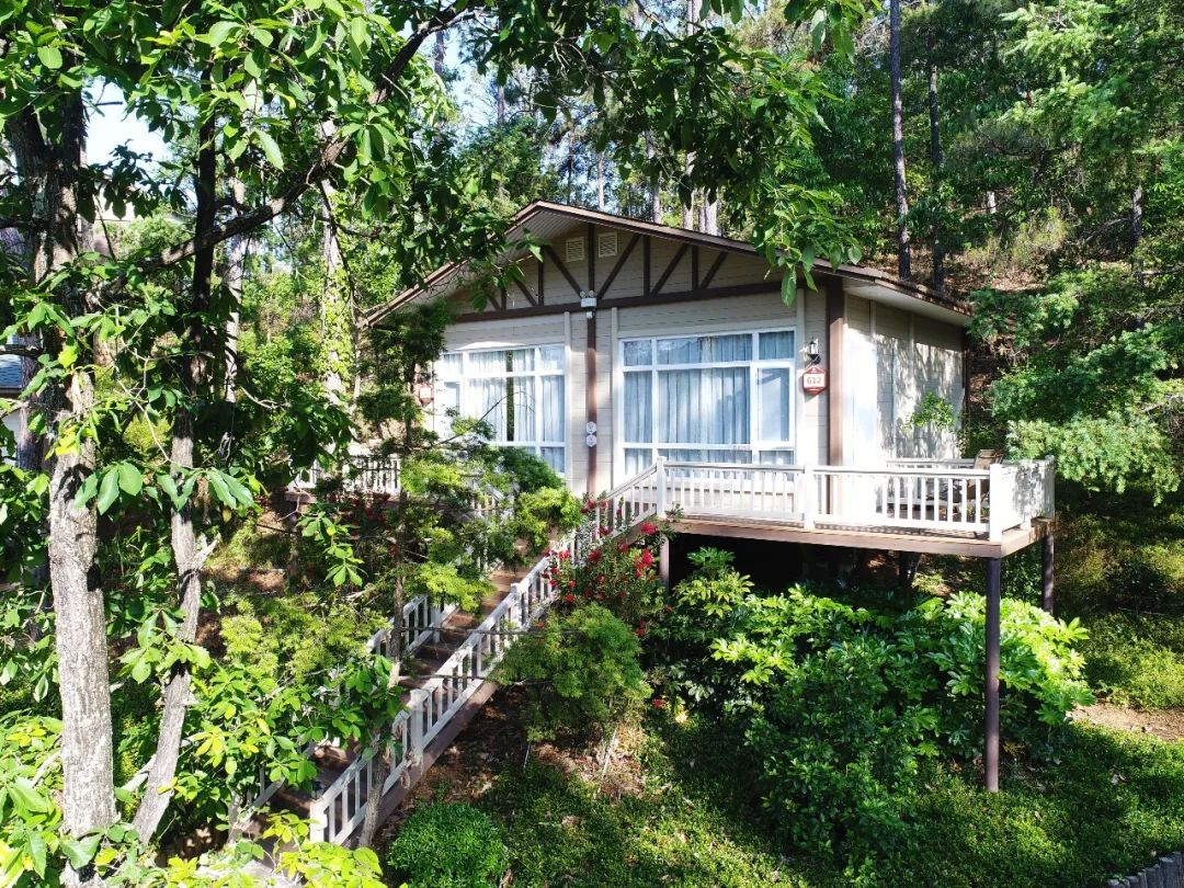 石屏龙韵养生谷干巴菌,云南石屏龙朋干巴菌节