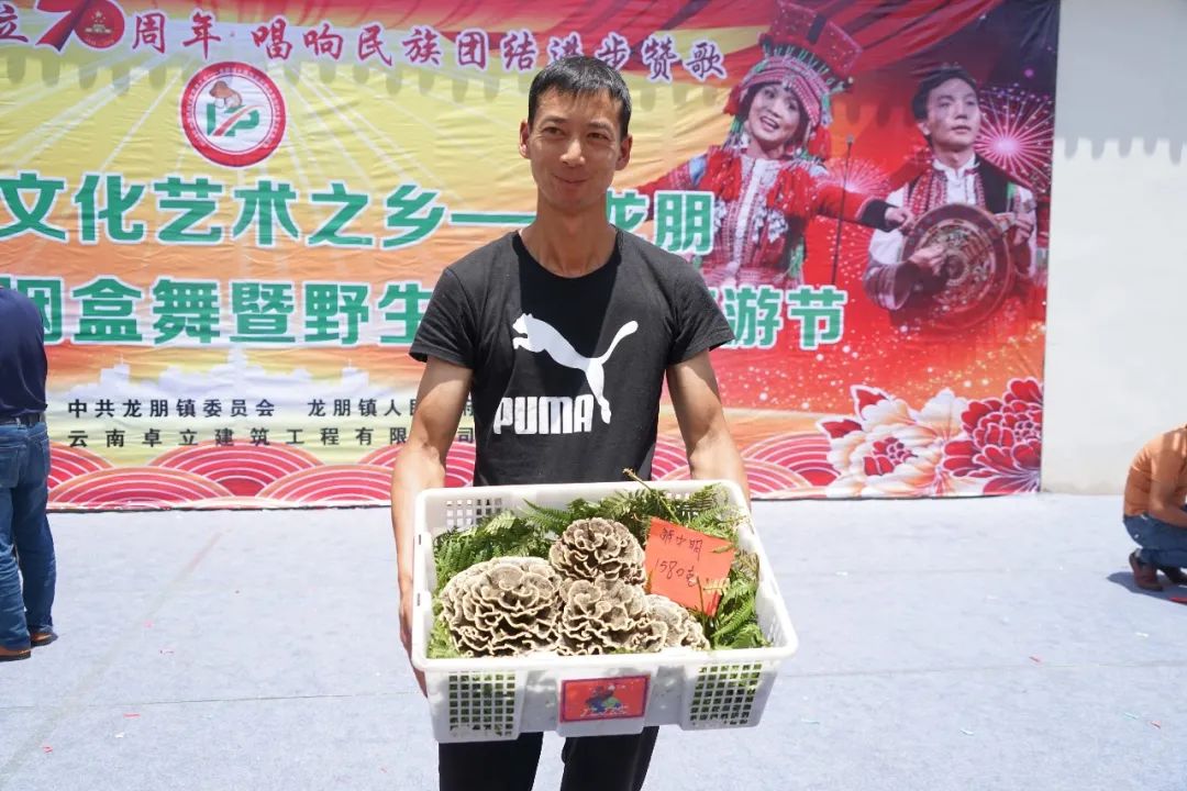 石屏龙韵养生谷干巴菌,云南石屏龙朋干巴菌节