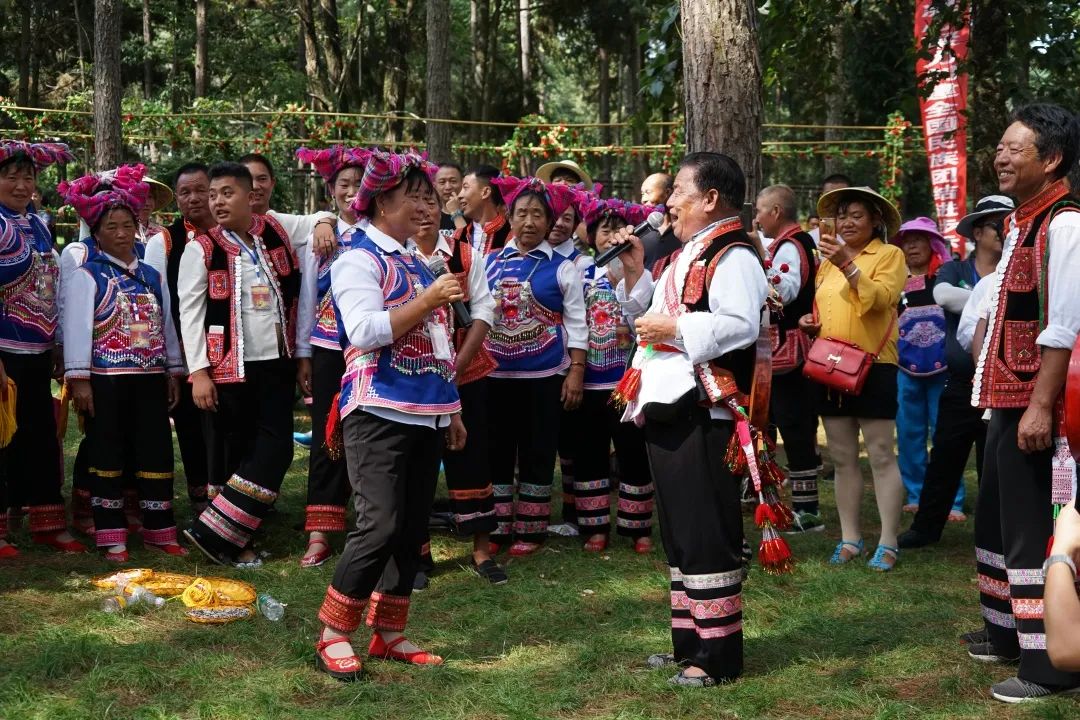 石屏龙韵养生谷干巴菌,云南石屏龙朋干巴菌节