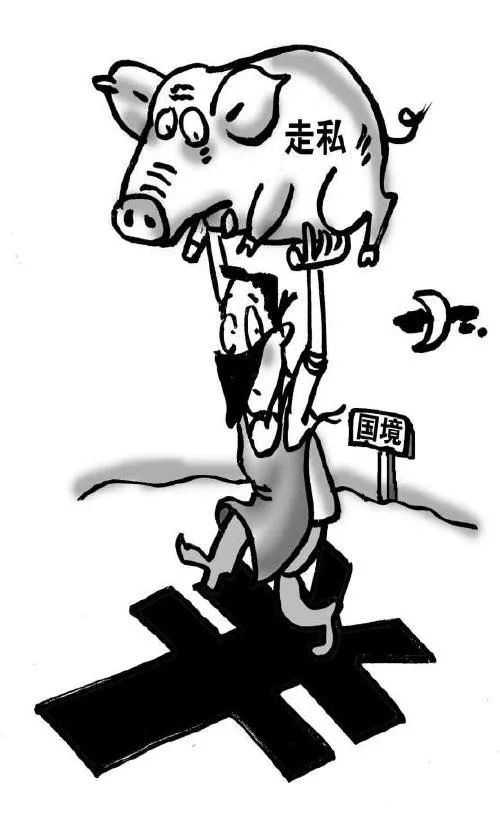 缉私行政违法案件调查工作规程,缉私最新案件