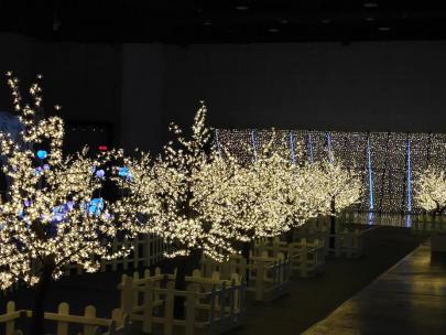 超值！住南宁高端酒店还送“光影节”门票，快来看看!