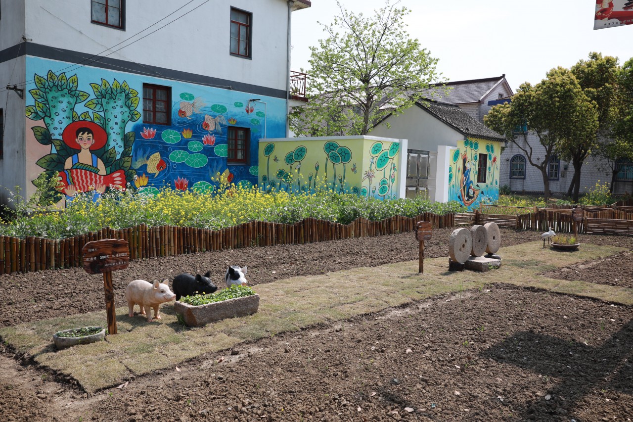 走青浦听江南｜“万水千砖”双祥村，百花十人好田园
