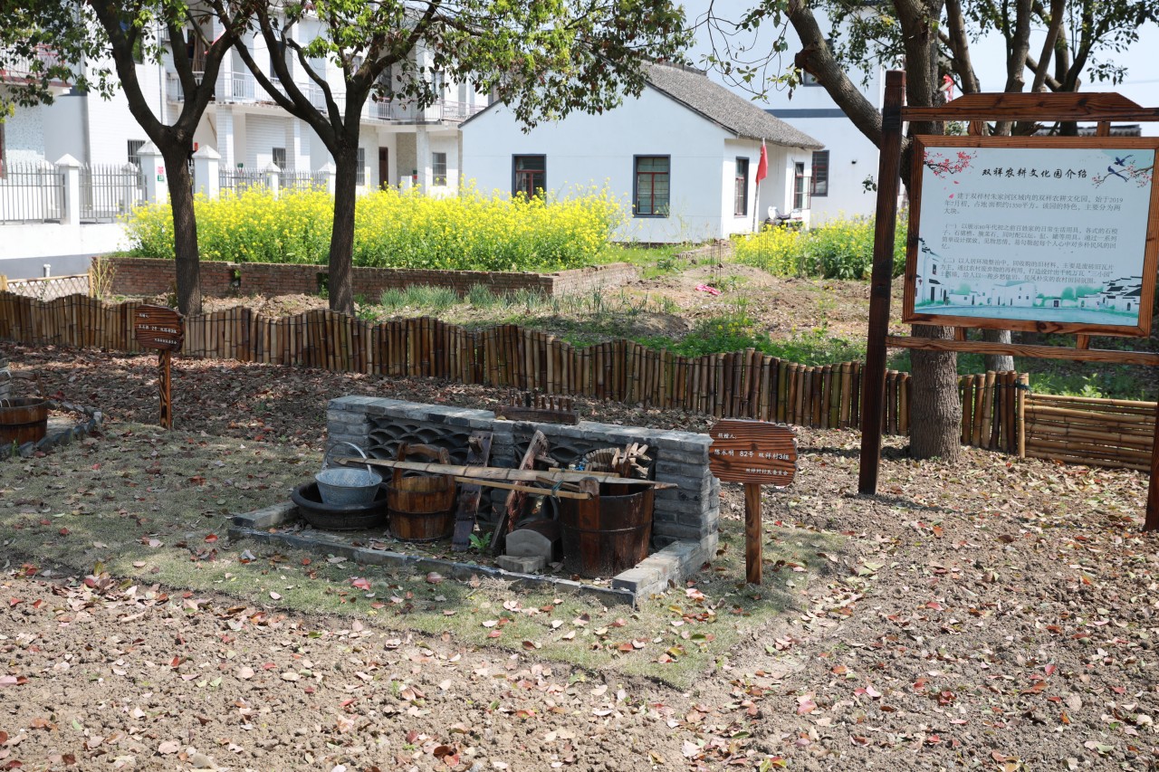 走青浦听江南｜“万水千砖”双祥村，百花十人好田园