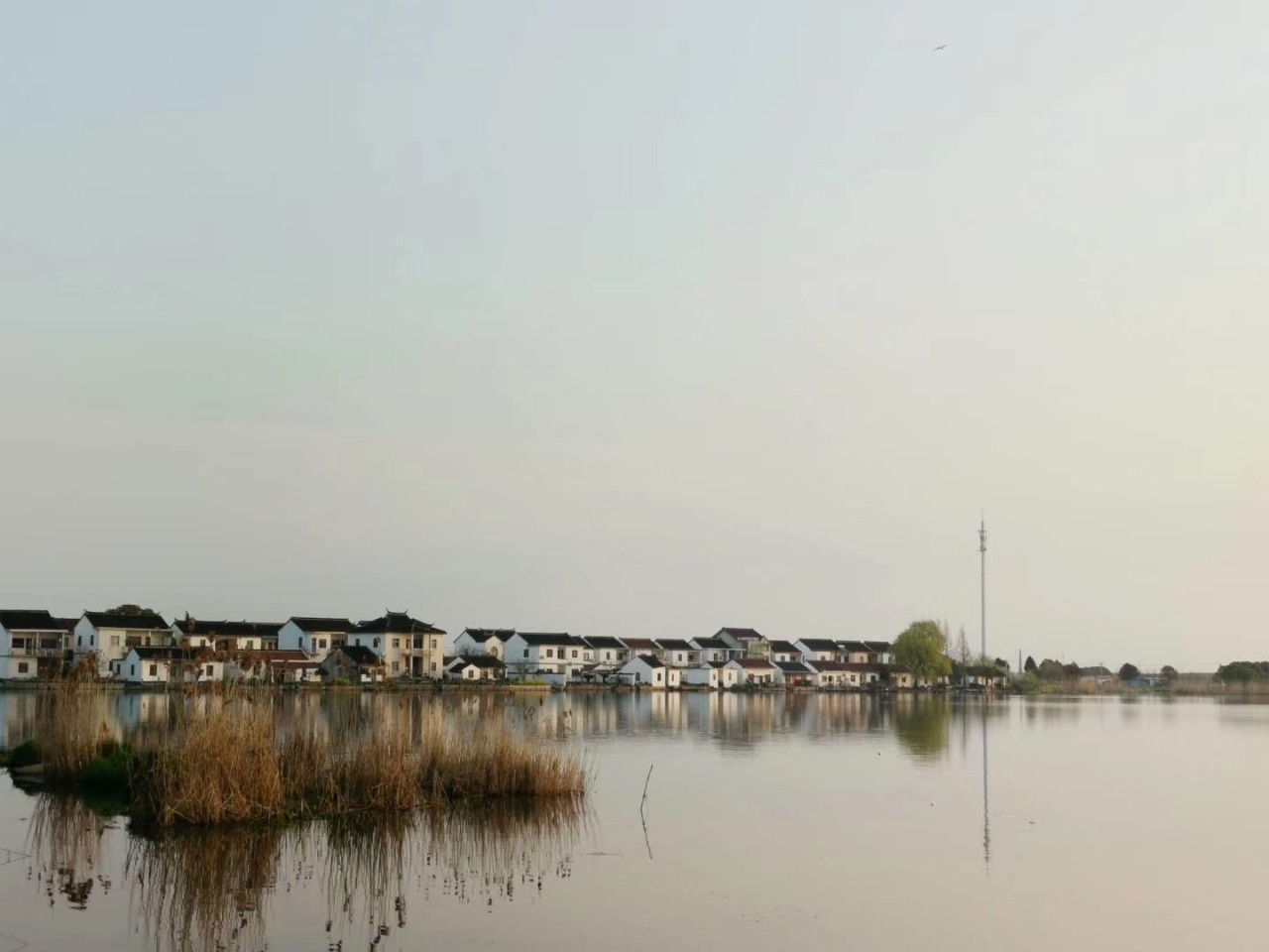 走青浦听江南｜“万水千砖”双祥村，百花十人好田园