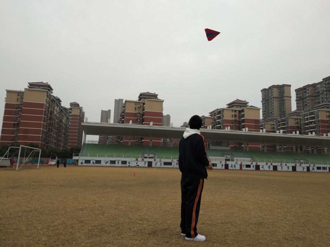 武汉这所学校颜值真高宛如仙境,武汉市学校景象