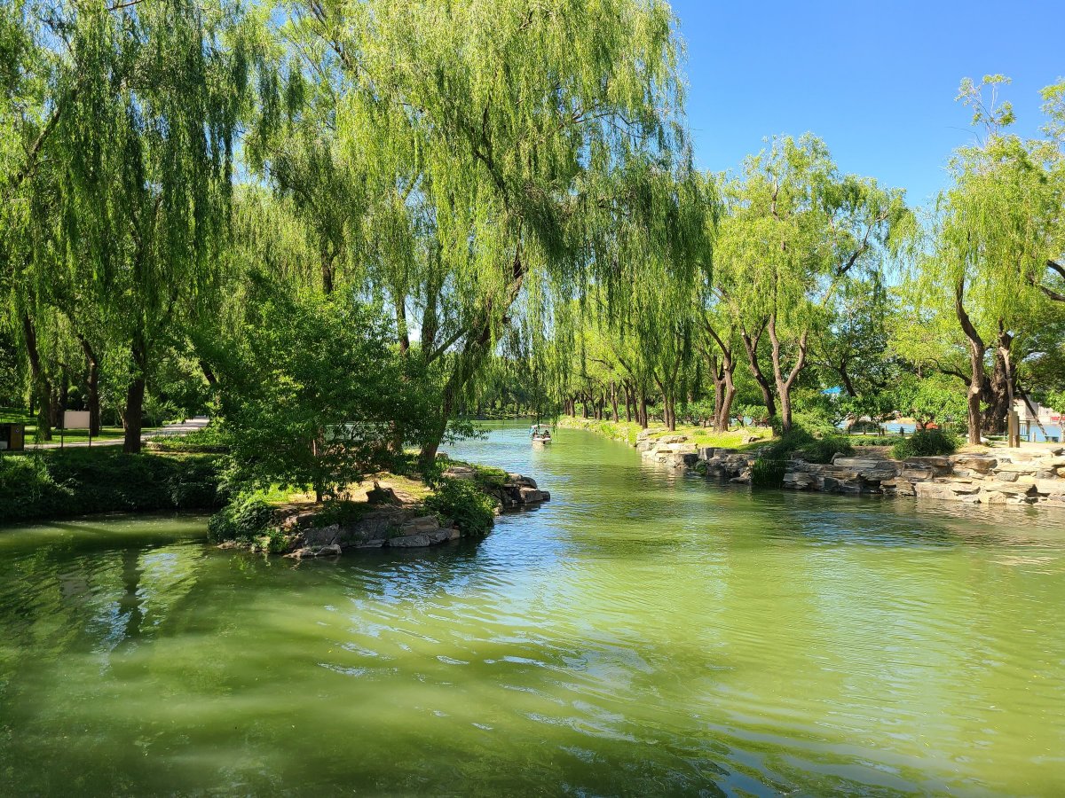 三星galaxys20fe5g拍照如何,samsung三星galaxys22