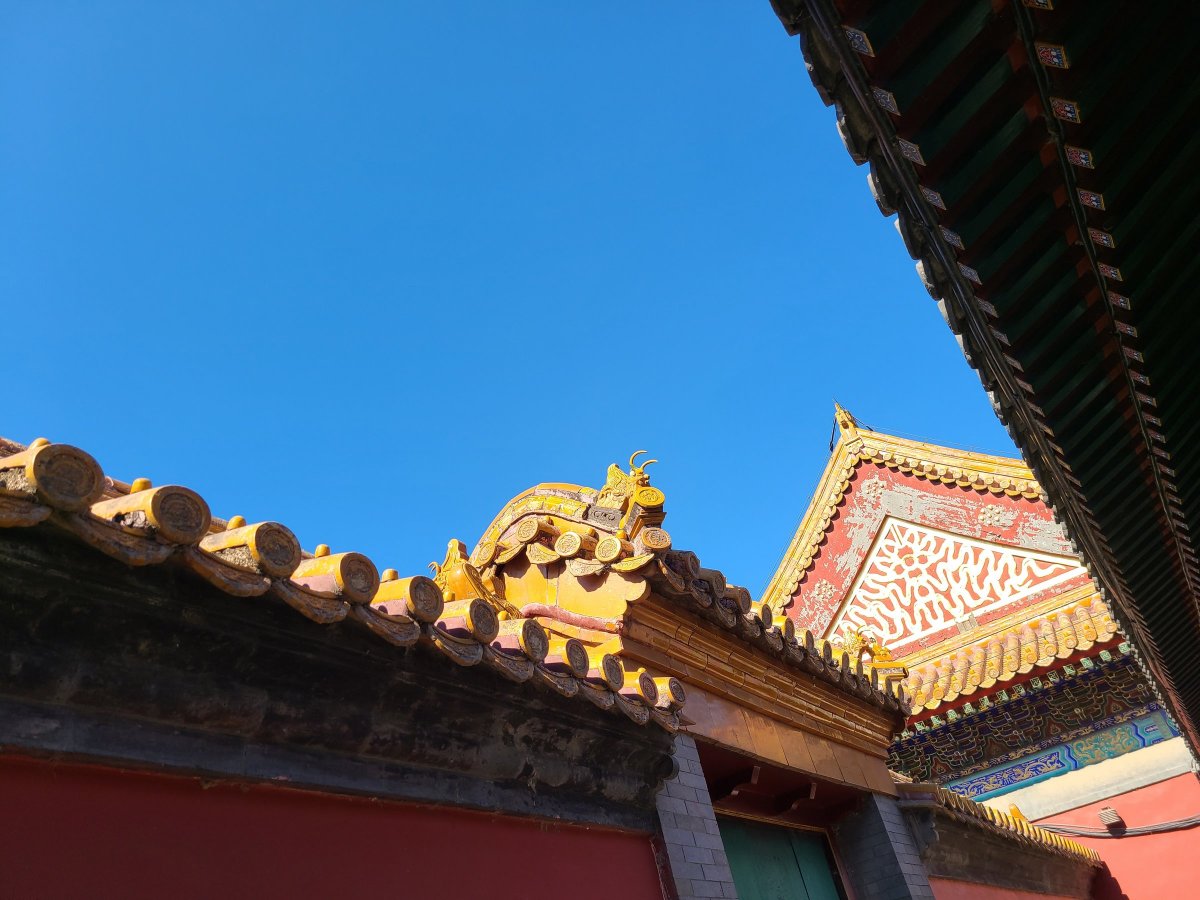 三星galaxys20fe5g拍照如何,samsung三星galaxys22