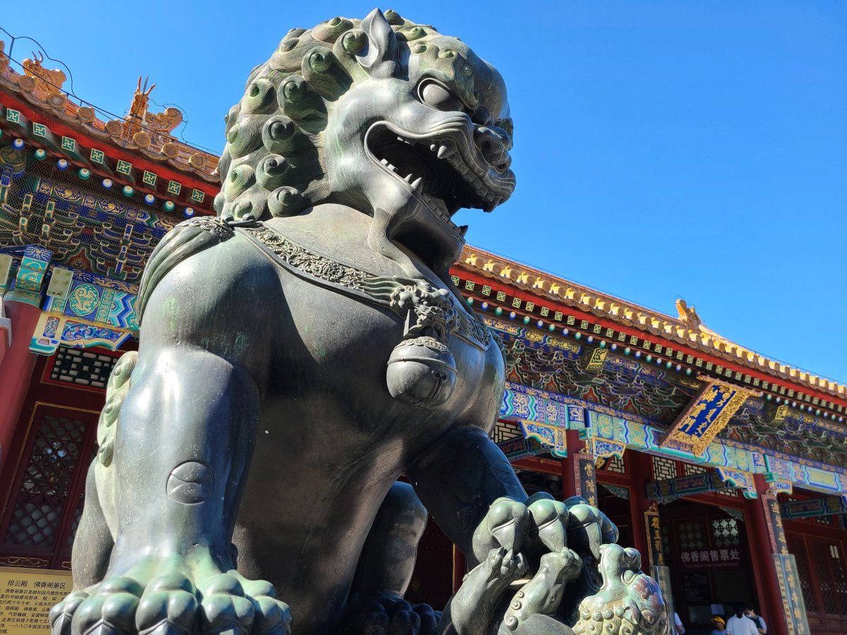 三星galaxys20fe5g拍照如何,samsung三星galaxys22