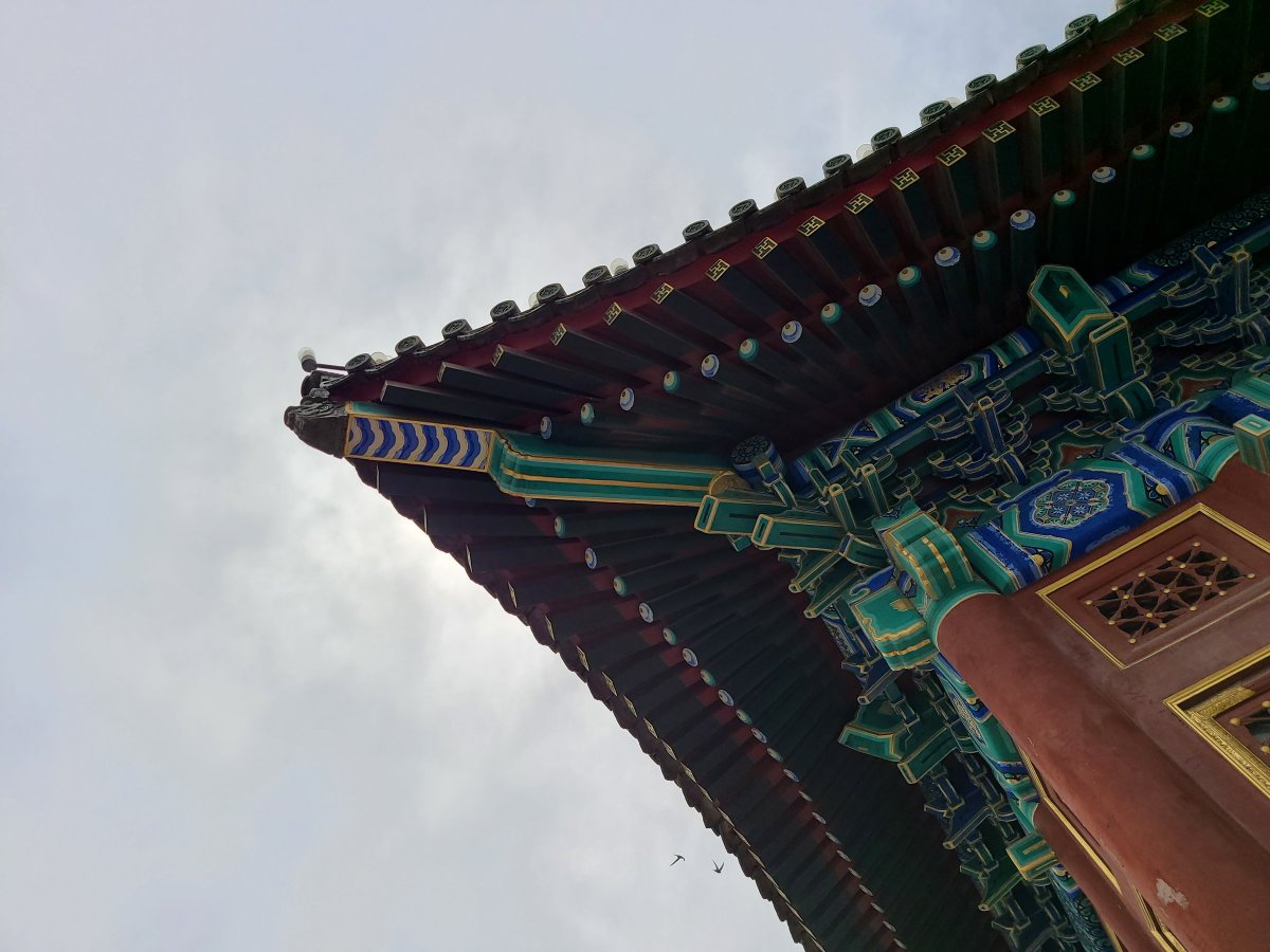 三星galaxys20fe5g拍照如何,samsung三星galaxys22