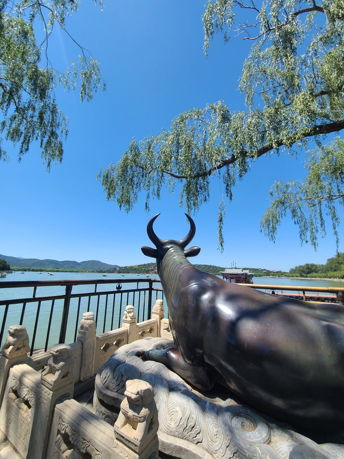 三星galaxys20fe5g拍照如何,samsung三星galaxys22