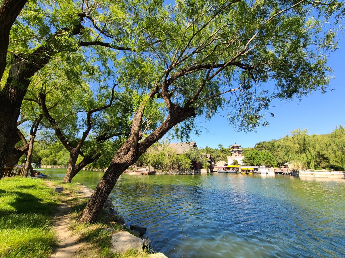 三星galaxys20fe5g拍照如何,samsung三星galaxys22