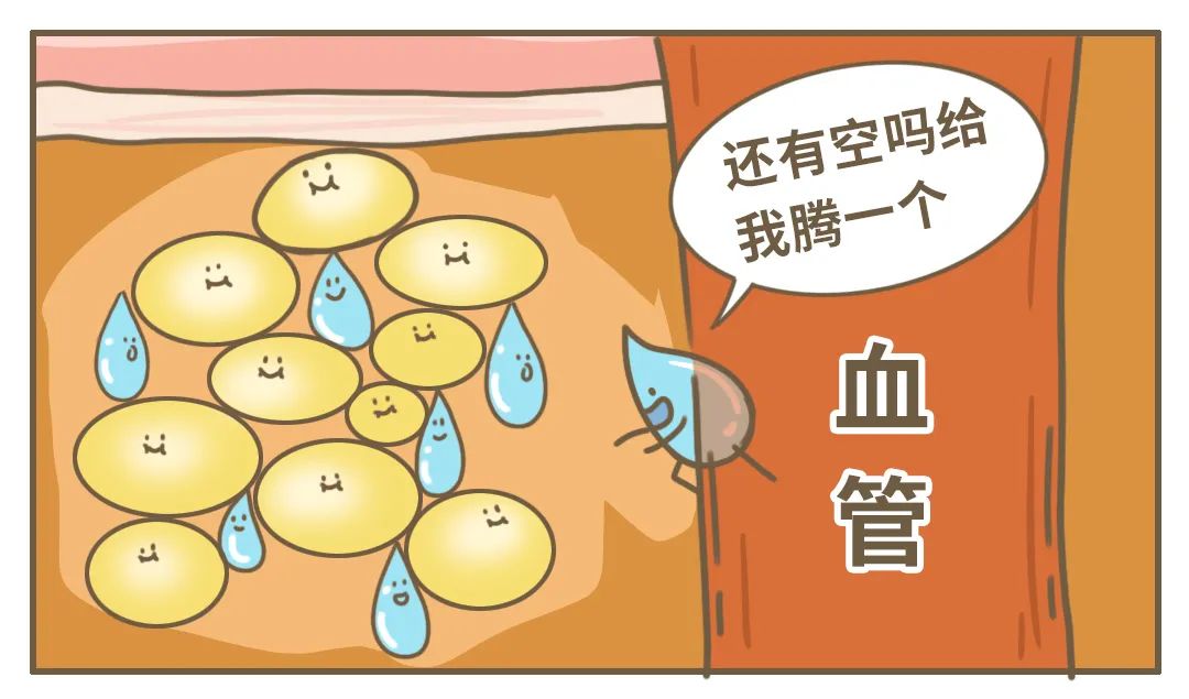 早上起床「胖三斤」，女生为什么那么容易肿啊？?