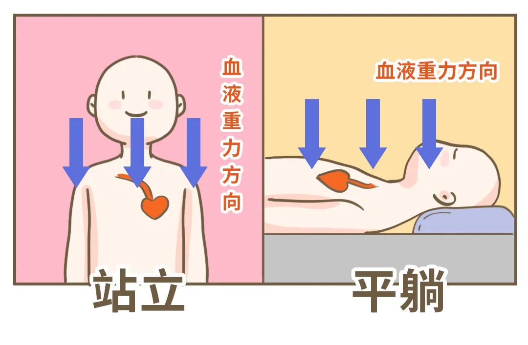 早上起床「胖三斤」，女生为什么那么容易肿啊？?