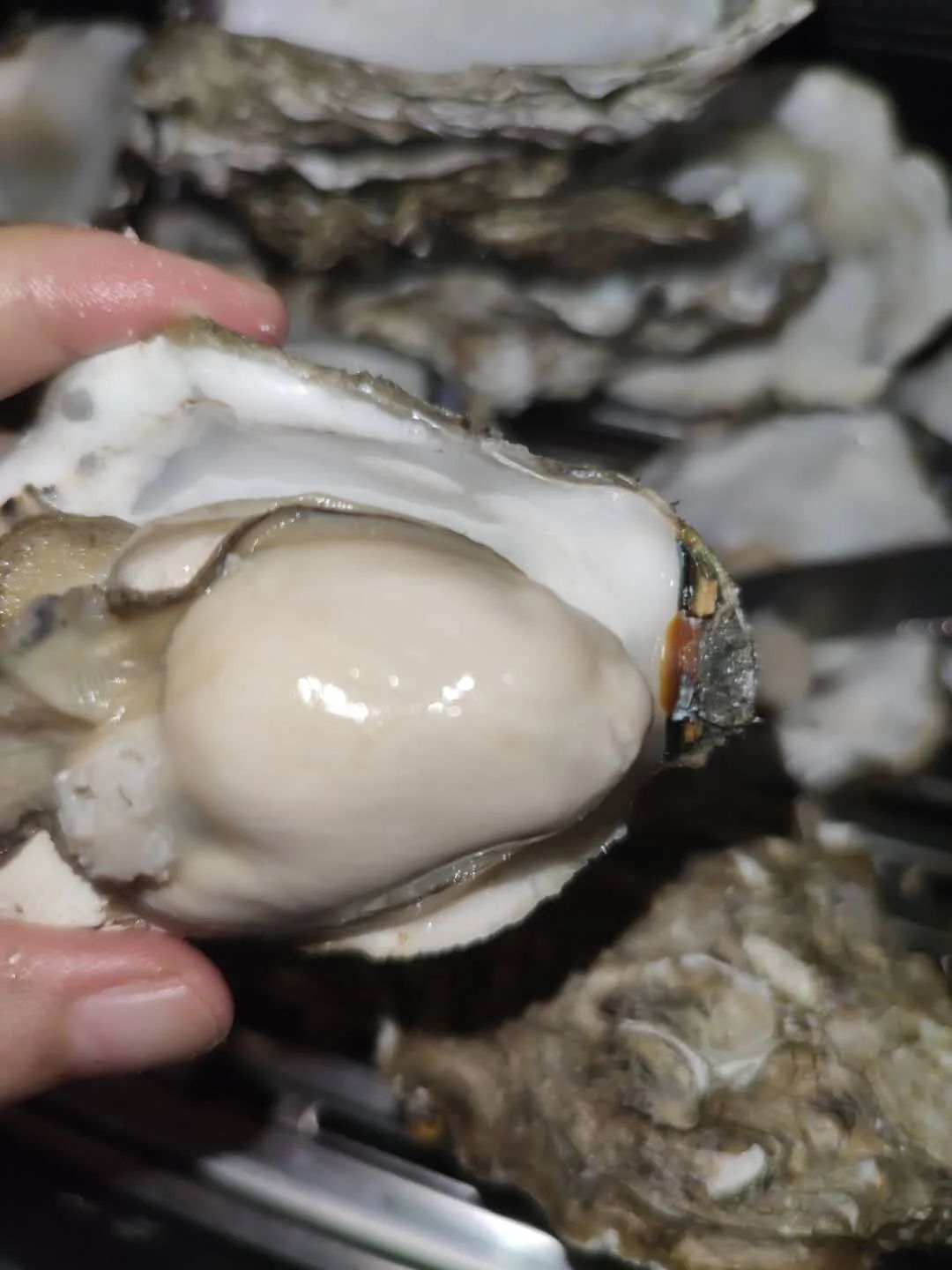 精品好物值得购买,有什么好物值得购买