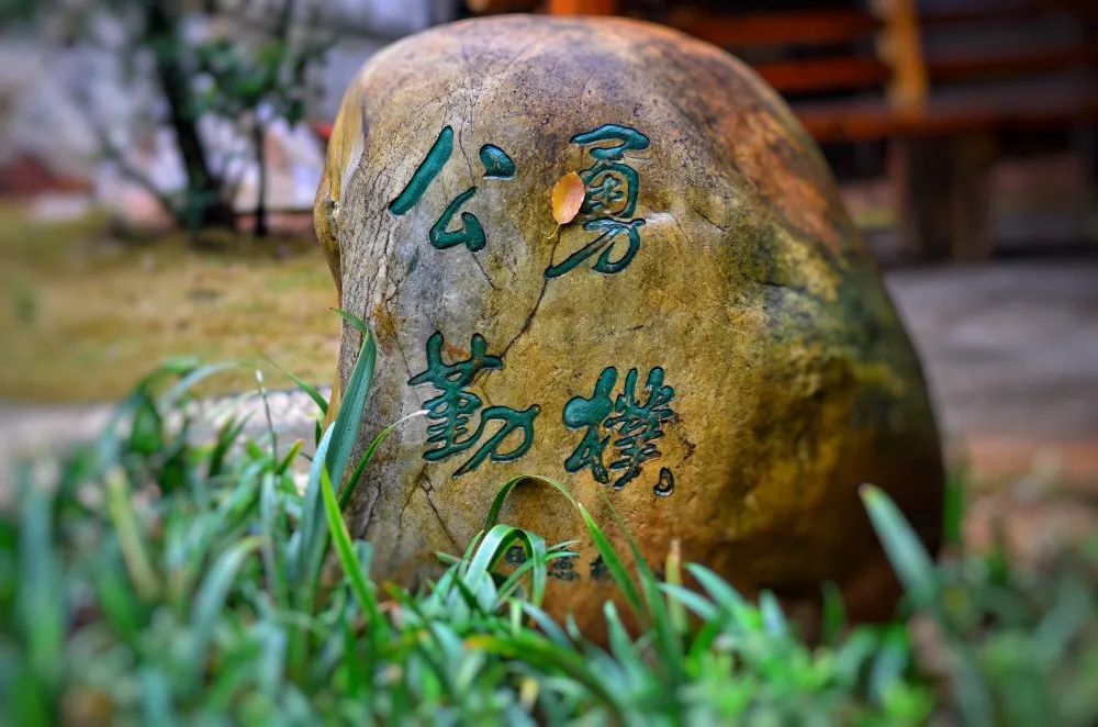 硬核的学校老师,硬核老师学习视频